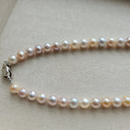 Rainbow Candy Mix Pearl Necklace - Limted Edition