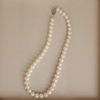 8.5–9.5 mm White Freshwater Pearl Necklace, 40 cm, Silver Clasp