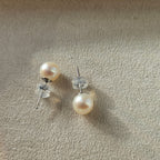 Soft White Glow ·  Freshwater Pearl Stud Earrings