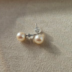 Soft White Glow ·  Freshwater Pearl Stud Earrings